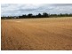 Meadowvale QLD 4670