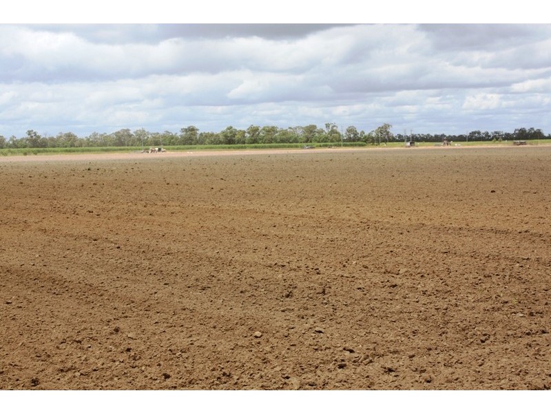 Meadowvale QLD 4670