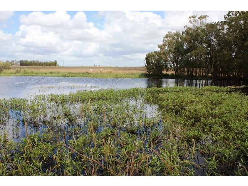 Meadowvale QLD 4670