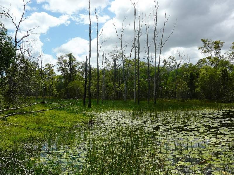 Watalgan QLD 4670