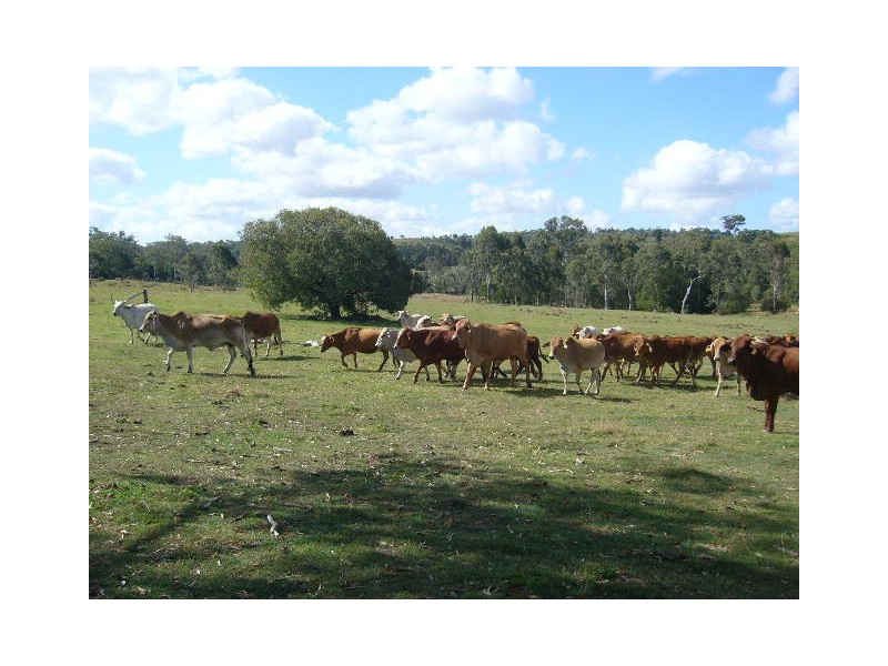 Childers QLD 4660