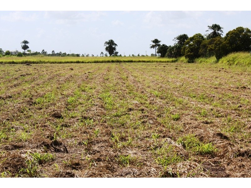 LOT 5 MOORE PARK ROAD, Welcome Creek QLD 4670