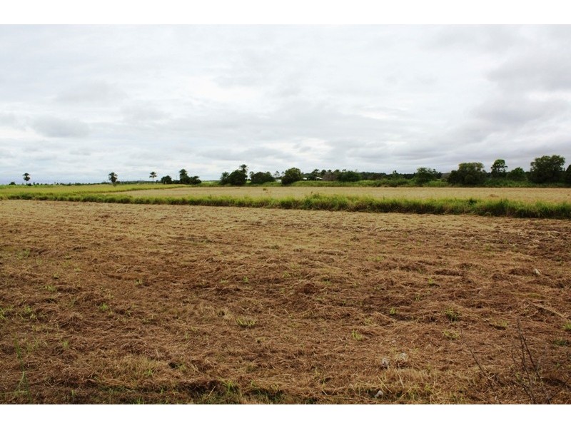 LOT 5 MOORE PARK ROAD, Welcome Creek QLD 4670