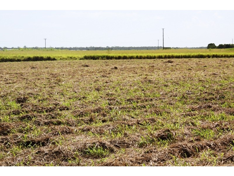 LOT 5 MOORE PARK ROAD, Welcome Creek QLD 4670