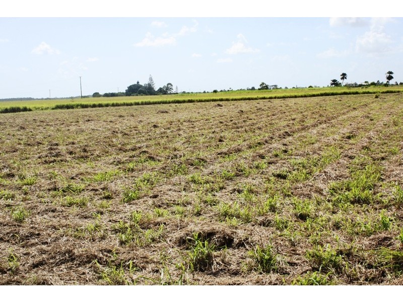 LOT 5 MOORE PARK ROAD, Welcome Creek QLD 4670