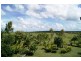 62 FAIRYDALE ROAD, Welcome Creek QLD 4670