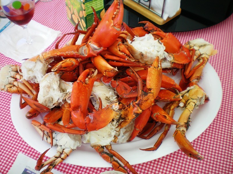 1655 MOORLANDS ROAD, Moorland QLD 4670