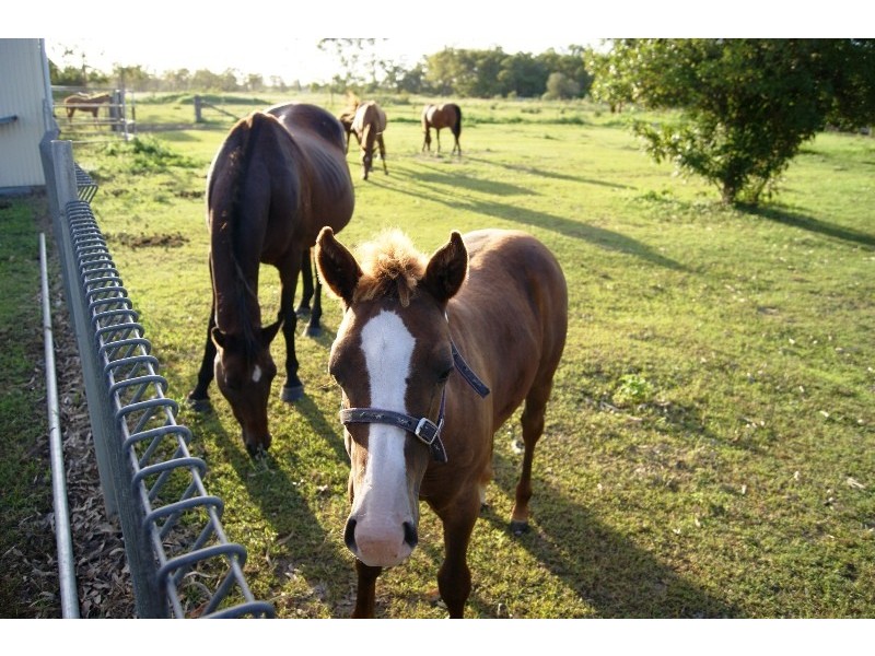 33 Von Deest Street, Kensington QLD 4670