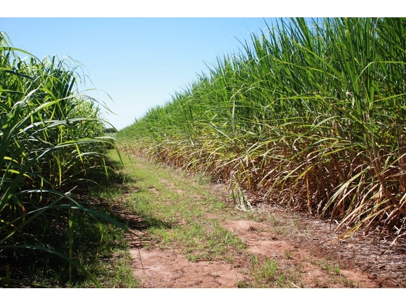 89 Neighbours Road, Redridge QLD 4660