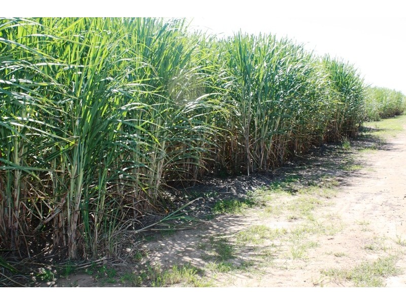 89 Neighbours Road, Redridge QLD 4660