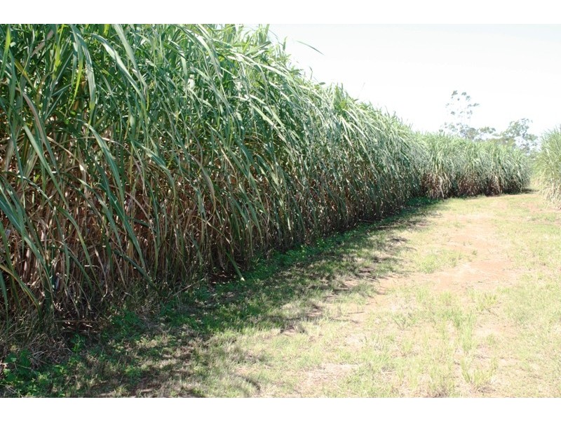 89 Neighbours Road, Redridge QLD 4660