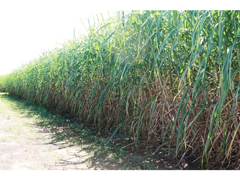 89 Neighbours Road, Redridge QLD 4660