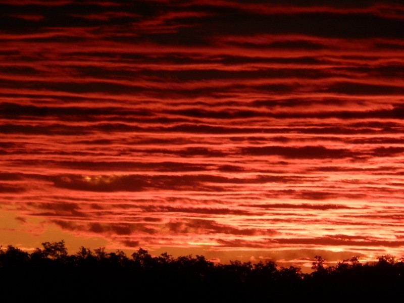 Lot 10 Kurundi Street, Cordalba QLD 4660