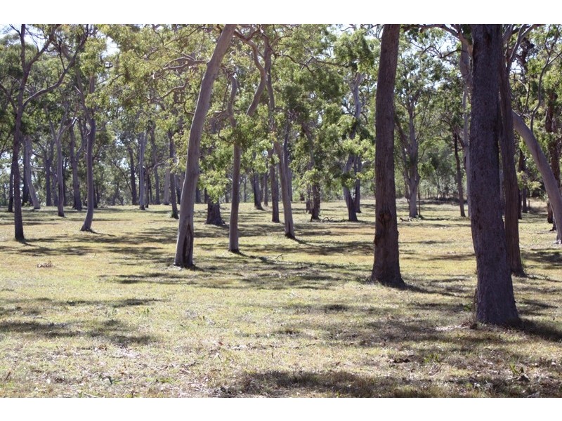 Lot 61 Munchton Road, Baffle Creek QLD 4674