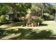 23 EVERGREEN DRIVE, Branyan QLD 4670