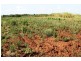 Sharon QLD 4670