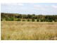 Sharon QLD 4670