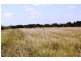 Sharon QLD 4670