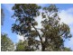 124 Malvern Drive, Moore Park Beach QLD 4670