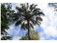 124 Malvern Drive, Moore Park Beach QLD 4670