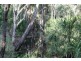 124 Malvern Drive, Moore Park Beach QLD 4670