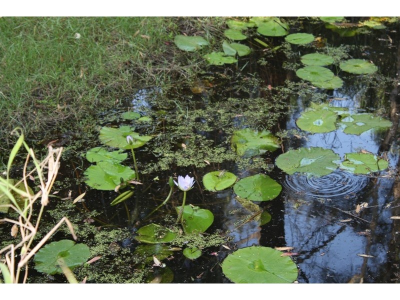 6 Royal Boulevard, Moore Park Beach QLD 4670