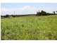 Lot 4 Moore Park Road, Moore Park Beach QLD 4670