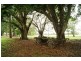 1533 Moore Park Road, Bundaberg QLD 4670