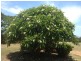 1533 Moore Park Road, Bundaberg QLD 4670