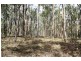 25 Robs Drive, Horse Camp QLD 4671