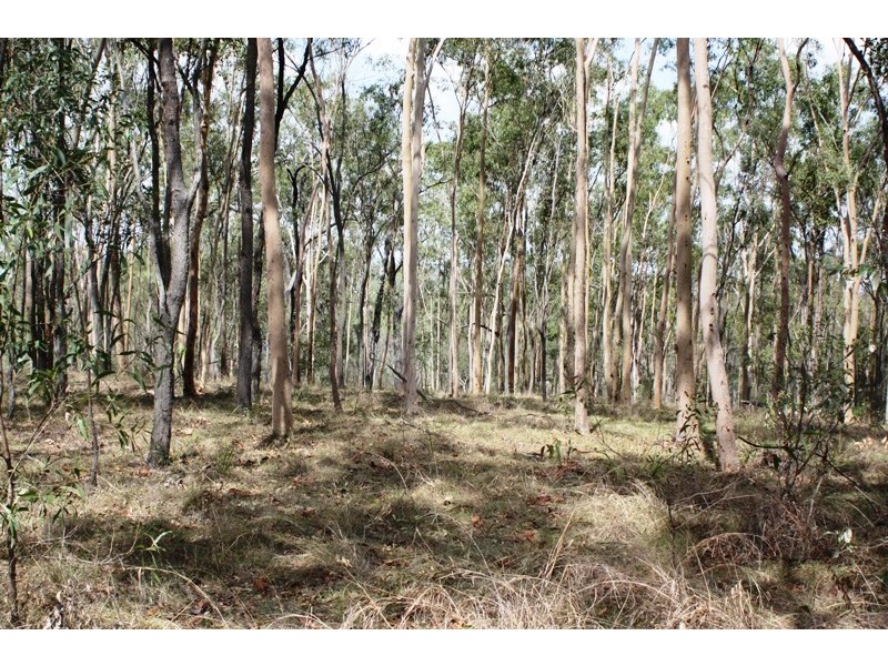 25 Robs Drive, Horse Camp QLD 4671