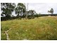 Lot 9 Kapunda Street, Mount Perry QLD 4671