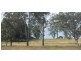 1312 Bucca Road, Bucca QLD 4670