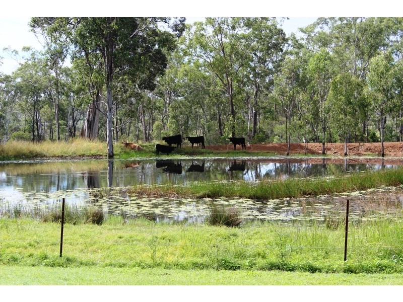 1312 Bucca Road, Bucca QLD 4670