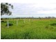 1312 Bucca Road, Bucca QLD 4670
