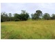 1312 Bucca Road, Bucca QLD 4670
