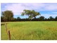 1312 Bucca Road, Bucca QLD 4670