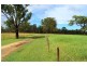 1312 Bucca Road, Bucca QLD 4670