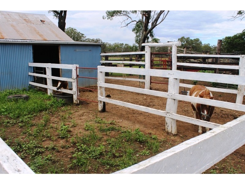 1312 Bucca Road, Bucca QLD 4670