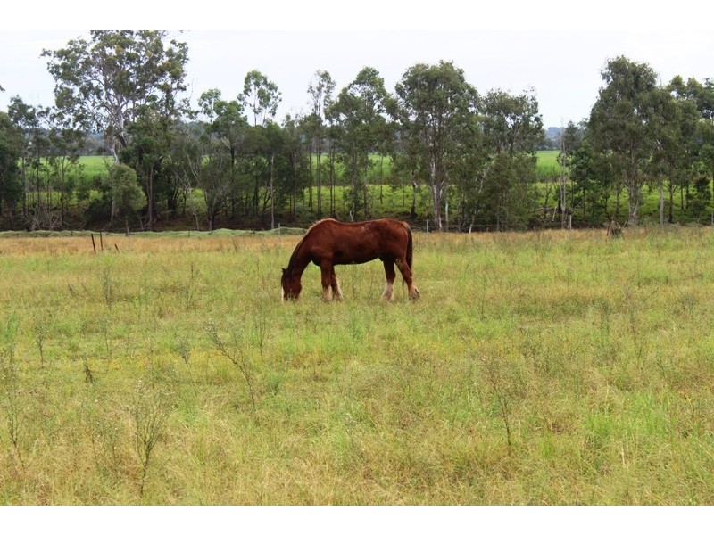 1312 Bucca Road, Bucca QLD 4670