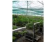 34 Booloongie Road, Gooburrum QLD 4670