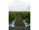 34 Booloongie Road, Gooburrum QLD 4670