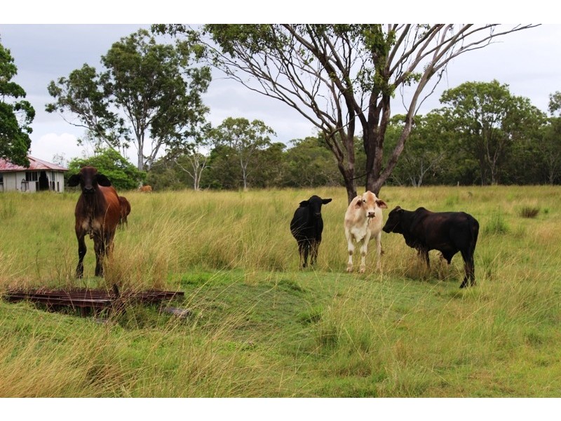 78 Round Hill Road, Taunton QLD 4674