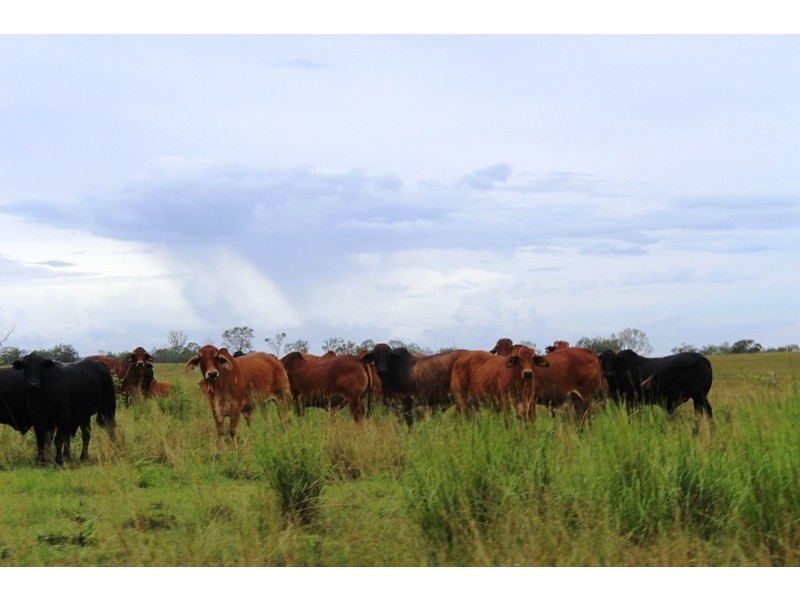 78 Round Hill Road, Taunton QLD 4674