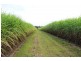 Sharon QLD 4670
