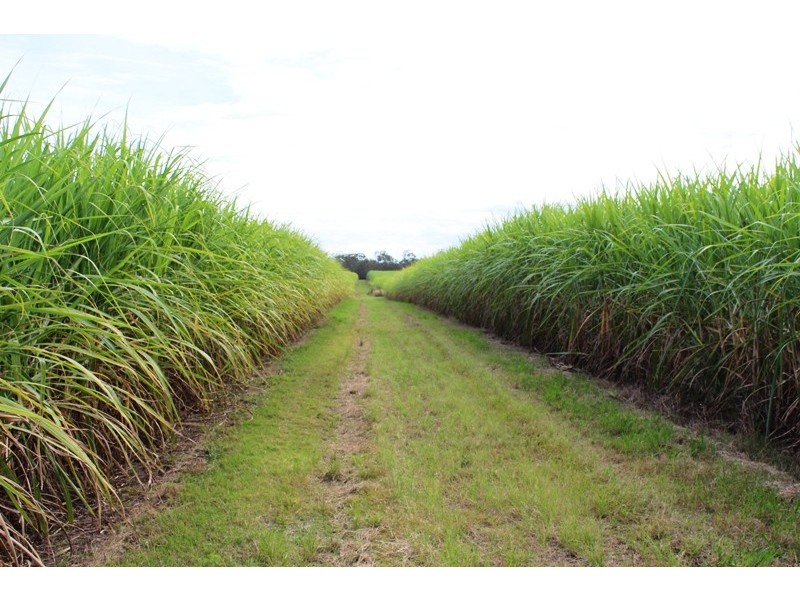 Sharon QLD 4670