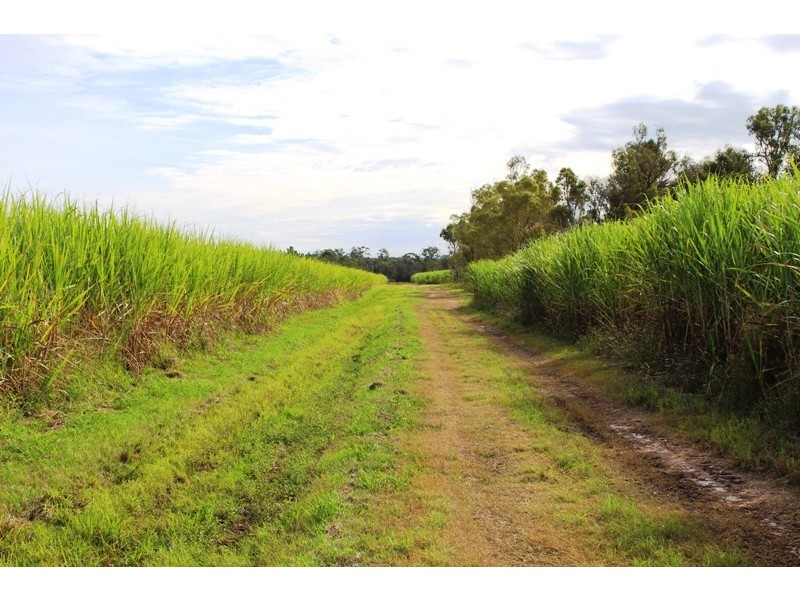 Sharon QLD 4670