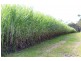 Sharon QLD 4670