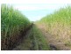 Sharon QLD 4670