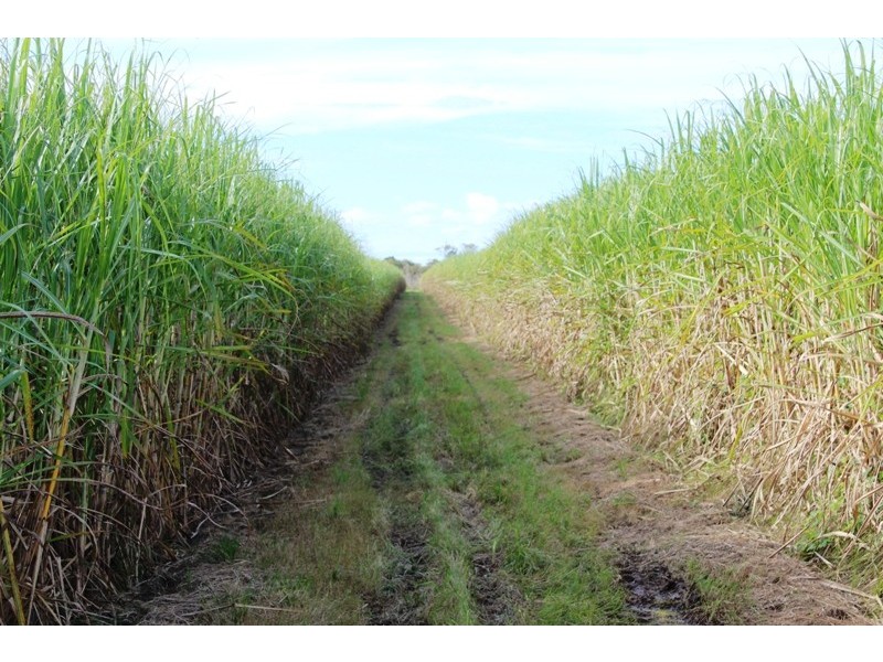 Sharon QLD 4670